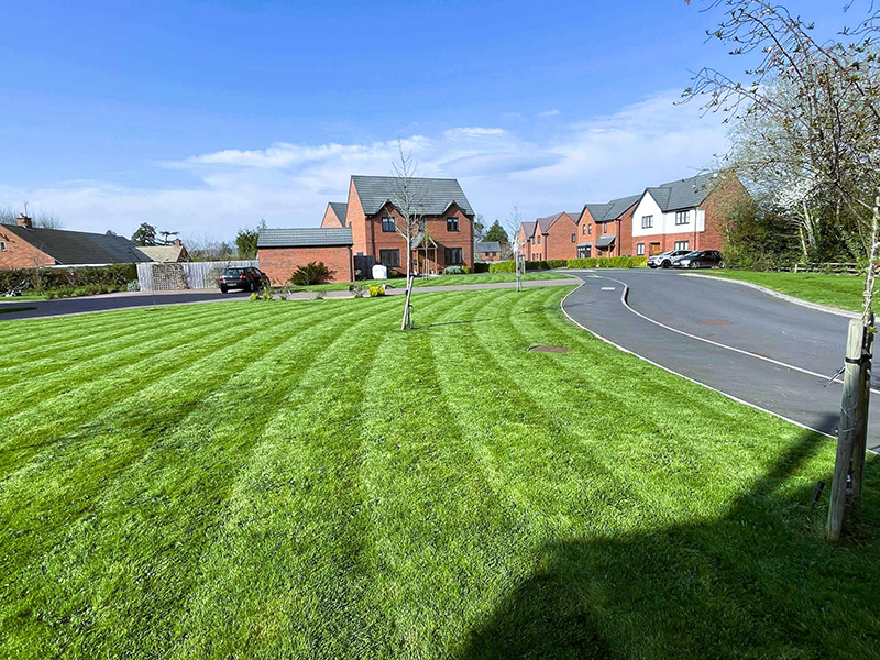 Communal Grounds Maintenance